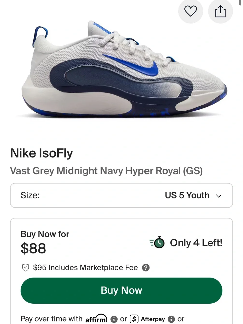 Nike IsoFly Big Kids' Basketball Shoes (Size 5Y)